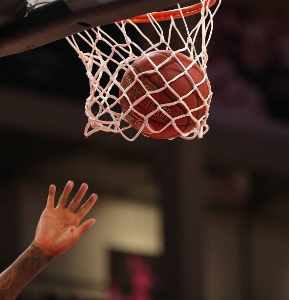 年轻力量的 年轻力量的